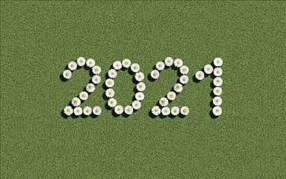 亚马逊将发行一个第三方游戏新IP 在线合作玩法