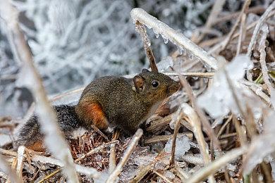 像素肉鸽游戏《UnderMine 2》全新实机 发售日待定