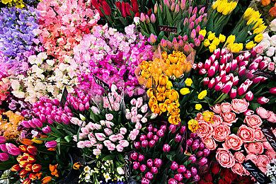 《地下城追踪者》steam页面上线 地牢探索战斗